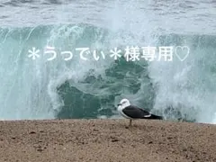 ＊うっでぃ＊様シーグラスアート　筆文字　ダブルフレーム⭐️