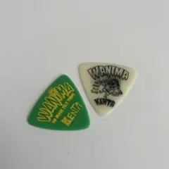 WANIMA ピック KENTAモデル ESP 2枚セット