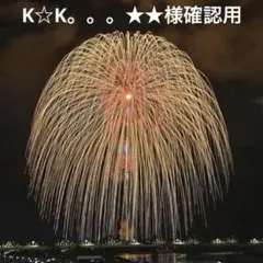 【K☆K。。。★★様確認用】ハンドメイド 8/11
