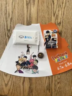 ハイキューファンパーク入場特典