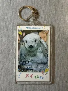 アクアマリン様 リクエスト 2点 まとめ商品