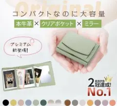 Item thumbnail for item 7e3cad2f-247c-45f0-81a6-d9da736ff109