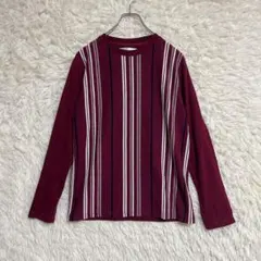 【ikka】ストライプカットソー (M) ロンT 長袖 メンズ カジュアル