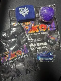B'z LIVE-GYM2026 FYOP naked ガチャ10点セット B'z LIVE-GYM2026 FYOP naked ガチャ10点セット - メルカリ