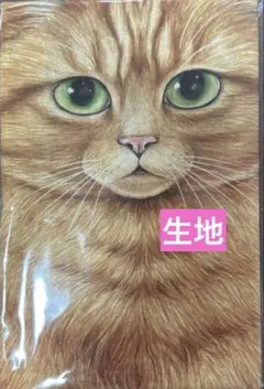 コヤンイサムチョン 赤ちゃん猫と友達Vol.8生地