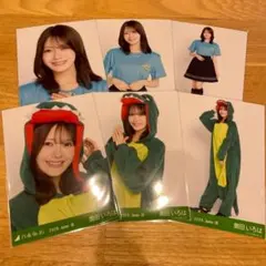 乃木坂46 全国ツアー 福井 コーデ 恐竜 生写真 3種コンプ 岡本姫奈