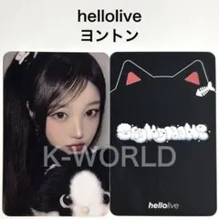 SAYMYNAME セマネ ソハ 直筆サインチェキ ヨントン 2026年最新】セイマイネームトレカの人気アイテム - メルカリ