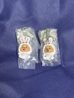 straykids スキズ skzoo つまつな ハン ハンクォッカ