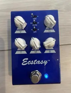 Bogner blue ecstasy ボグナーエクスタシーブルー ジャンク - メルカリ