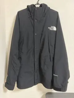THE NORTH FACE GORE-TEX マウンテンライトジャケット Lのサムネイル