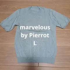 marvelous by Pierrot 水色　半袖　カットソー　L　レディースのサムネイル