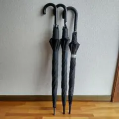 Item thumbnail for item fc029282-ff97-49a7-b590-b69129ae66d6