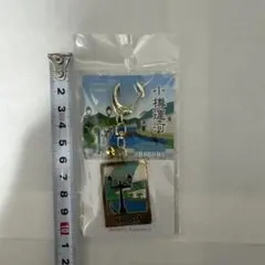 Item thumbnail for item 625d6b92-5c09-43d8-bcaf-80ac3a9f7d45