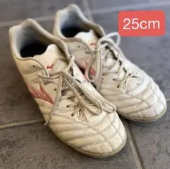 ミズノ　モナルシーダネオ　サッカートレーニングシューズ 25cm