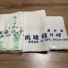 Item thumbnail for item 53a60bac-596c-45d2-af29-fa83d05284e6