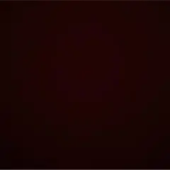 さくらもち様専用