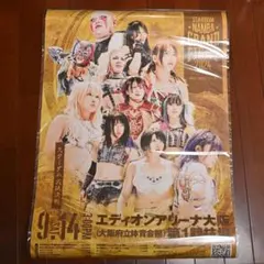 スターダム B2ポスター 2024.9.14 大阪 STARDOMのサムネイル
