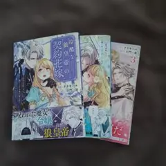 B6サイズコミック まとめ売り④ - メルカリ