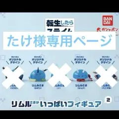 たけ様専用ページ