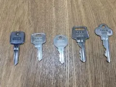 Item thumbnail for item 9ffd0549-29f7-4405-a438-b97d4f6cc024