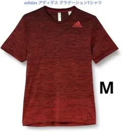 adidas アディダス グラデーションTシャツ