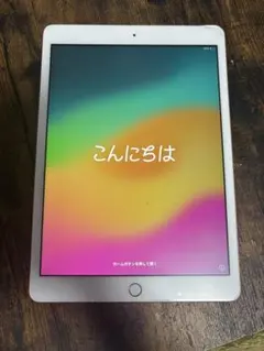 Apple iPad 第6世代 本体 32GB A1893のサムネイル