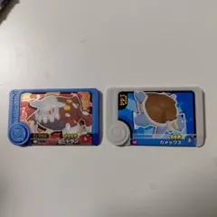 ポケモンヒードラン・カメックス トレーディングカード