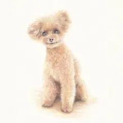 鉛筆画 子犬のドローイング アートB4ケント最終価格 - メルカリ