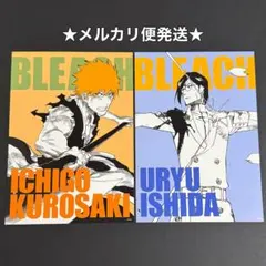 BLEACH　ブリーチ　アートカードコレクション　黒崎一護　石田雨竜