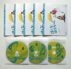 泣くな、はらちゃん DVD 全5巻セット まとめ売り 長瀬智也 - メルカリ