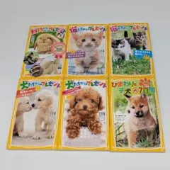 犬・猫・動物たちからのプレゼント　 動物関連小説　6冊まとめ売り