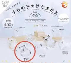 黒柴 うちの子のけだまだま