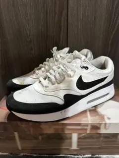 NIKE golf ナイキ ゴルフシューズ 29cmのサムネイル