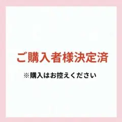 Ny様 リクエスト 2点 まとめ商品