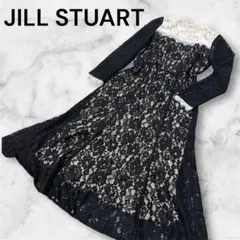 ジルスチュアート 総レース ワンピース 長袖 バイカラー　ドレス　卒業式　入園式