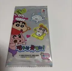 韓国限定 クレヨンしんちゃん カードパック