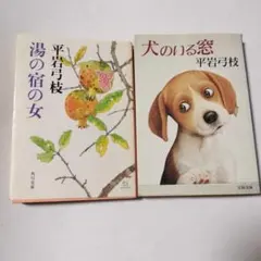 【4/6まで限定】平岩弓枝 ２冊セット「犬のいる窓」「湯の宿の女」【バラ売り可】