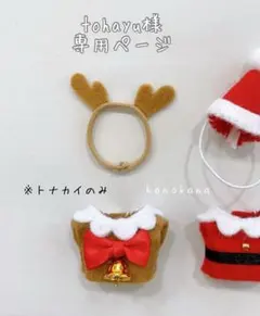 tohayu様専用ページ