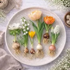 MARI様 リクエスト 2点 まとめ商品