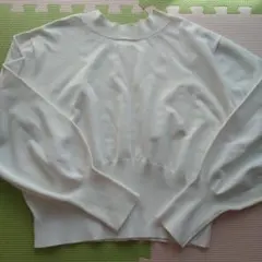 Item thumbnail for item 5998e79c-3ec4-40f4-87ec-a767d9ffb4b4