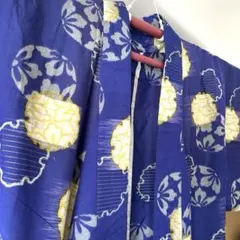 美品！アンティーク単衣銘仙✩.*˚雪輪と桔梗の手毬文様 銀通し 美品！アンティーク単衣銘仙✩.*˚雪輪と桔梗の手毬文様 銀通し - メルカリ
