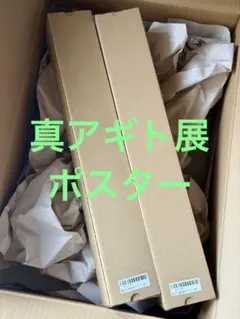 真アギト展 非売品B2ポスター 2種セット クラファン返礼品 - メルカリ