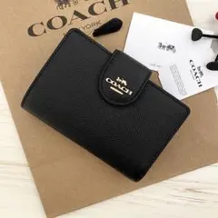 Item thumbnail for item 8a2f156f-4950-441e-9b17-0cdc6389476c