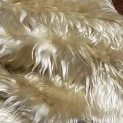 Item thumbnail for item 818d3d5f-26bf-4e56-be77-f3038ee50419