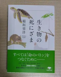 Item thumbnail for item 6f884db1-896b-4295-8ae5-89e1efe027dd