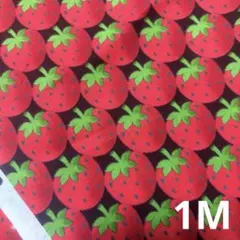 セール品　セブンベリー　ストロベリー　いちご柄　 黒　苺　1M いちご生地