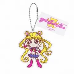 浜崎あゆみ セーラームーン アクリルスタンド アクスタ - メルカリ