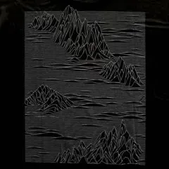 新品　完売　パタゴニア キャプリーンクールデイリーグラフィックシャツ 入手困難