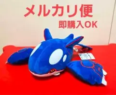 2026年最新】ポケモン カイオーガ ぬいぐるみの人気アイテム - メルカリ