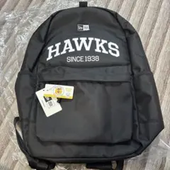新品 ソフトバンク×NEW ERA バックパック リュックのサムネイル